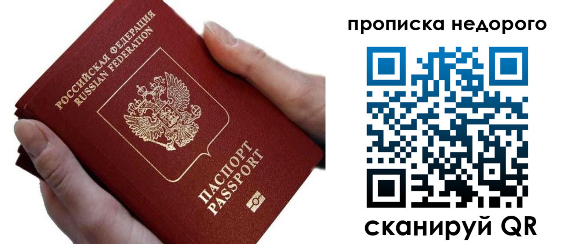 временная регистрация гарантия в Ленинградской области